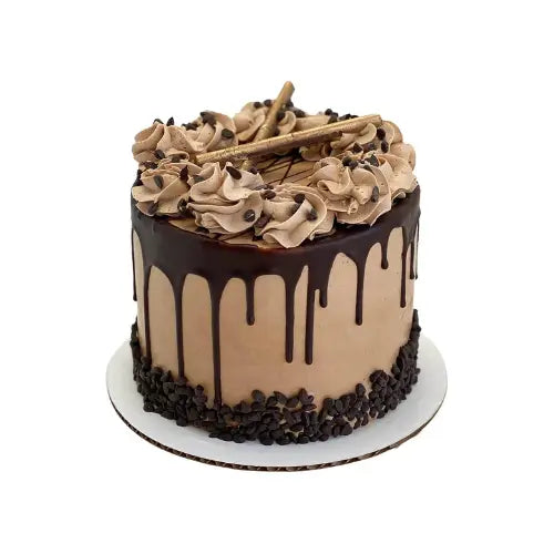Signature Chocolate Coffee Lovers Cake That's The Cake Bakery