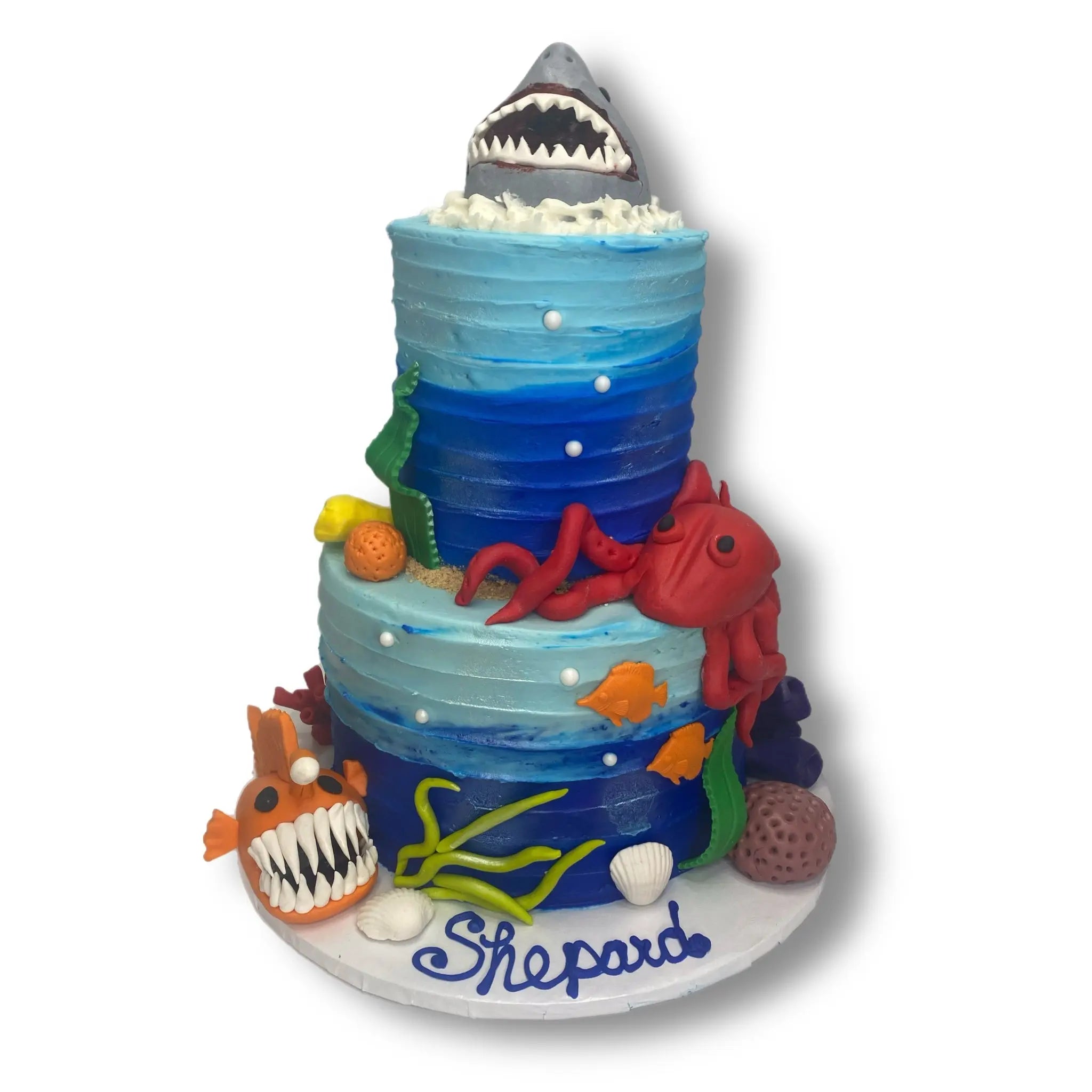 Shark Attack Birthday That's The Cake Bakery