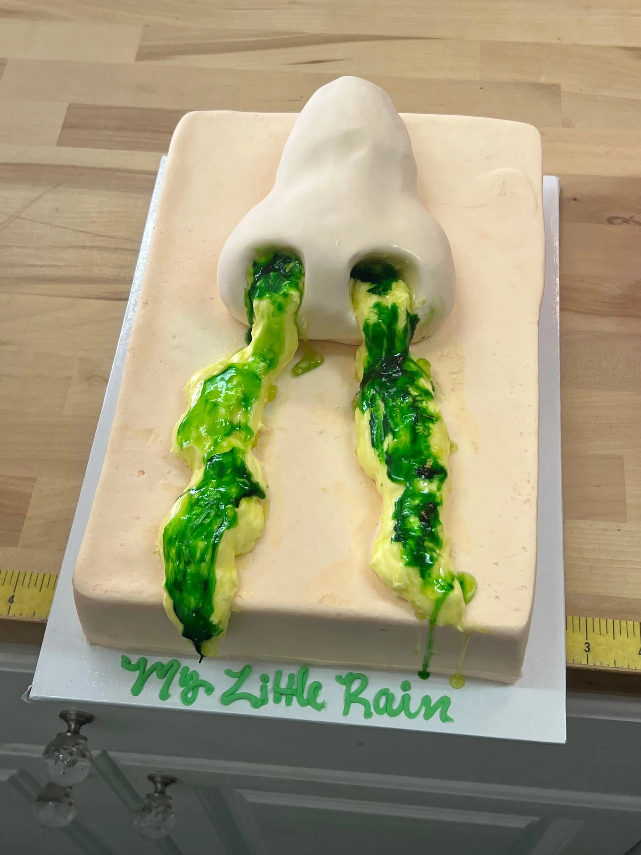 Snotty Nose Cake That's The Cake Bakery