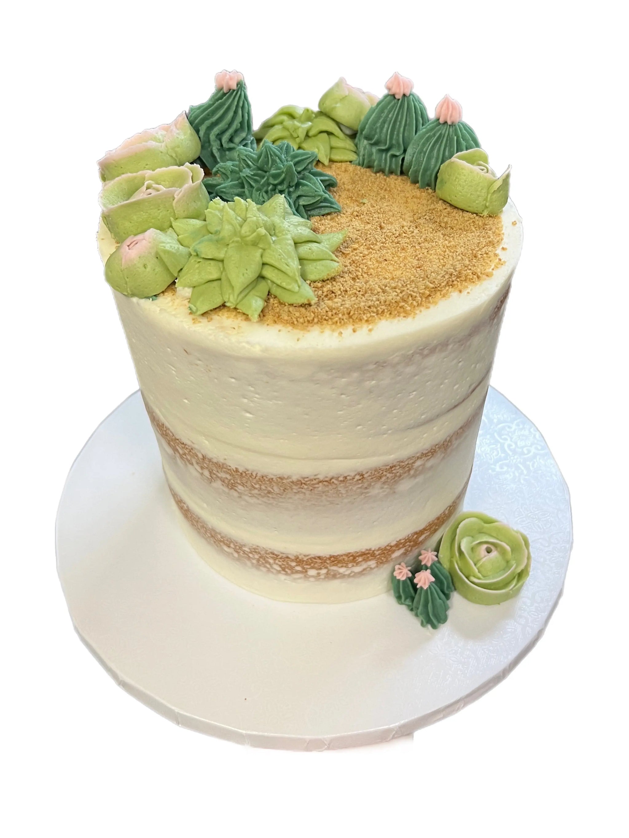 Semi-Naked Succulents That's The Cake Bakery