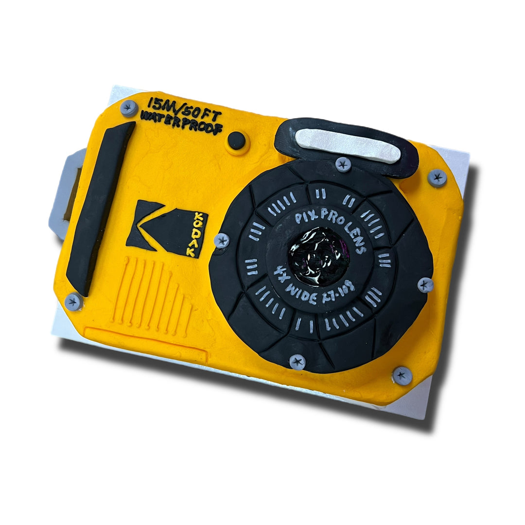 KODAK 3D Camera Cake